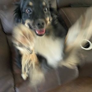 Meet your Posher, Aaron